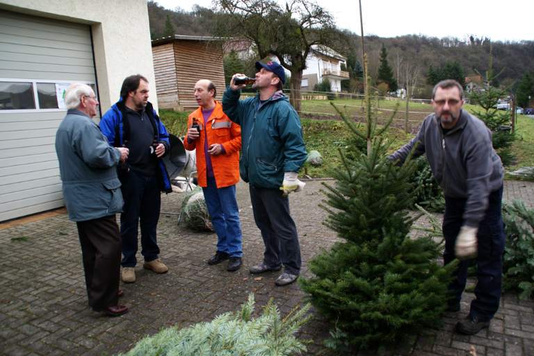 Weihnachtsbaumverkauf 2008 Bild Nr.035